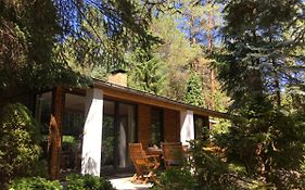 Bungalow im Wald