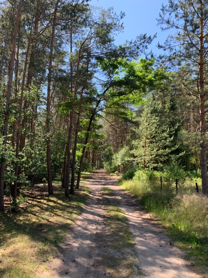 Bungalow im Wald Borkwalde Exterior foto